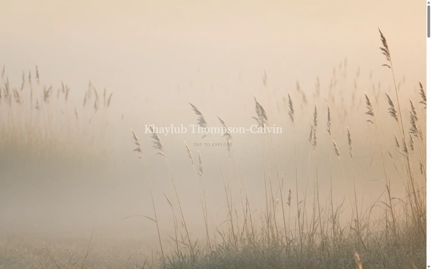 The name and the words Tap to explore in pale letters over a misty dawn field of tall grass.